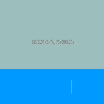 Prenatal development phases