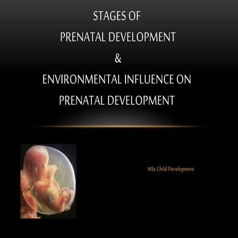 Prenatal Development