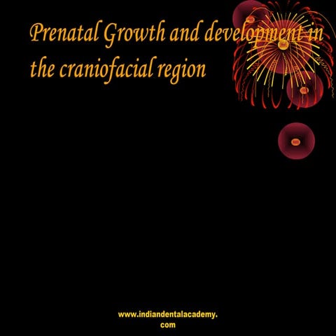 Prenatal growth  craniofacial