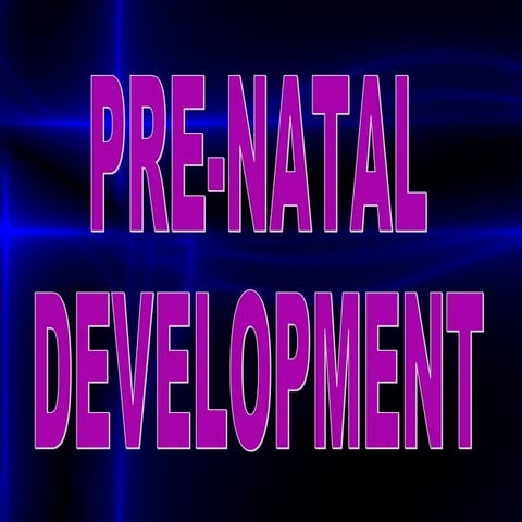Prenatal Period