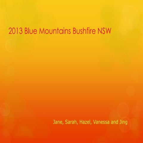 2013 Blue Mountains Bushfire NSW 