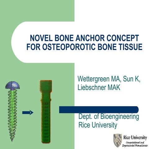 Novel Bone Anchor Concept for Osteoporotic Bone Tissue, 02/2003