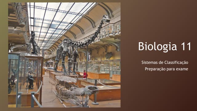 Preparação para exame   classificaç...