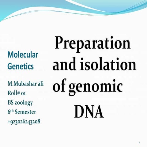 Preparation and isolation of genomic