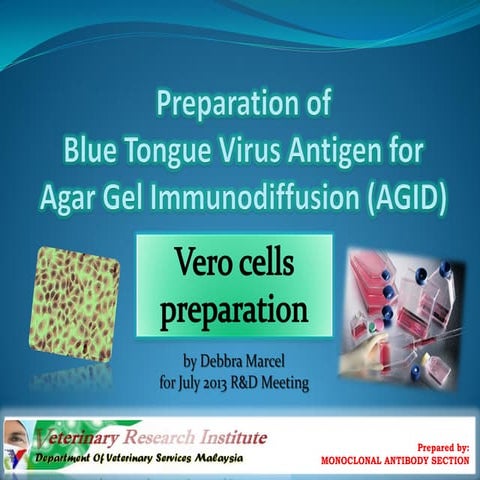 Preparation of btv antigen part 2 
