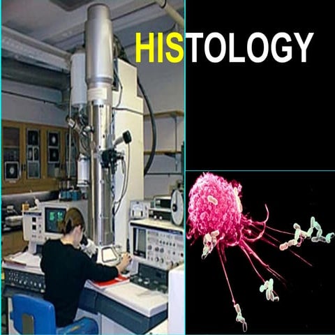PREPARATION OF HISTOLOGICAL SPECIMENS 2 copy.pptx