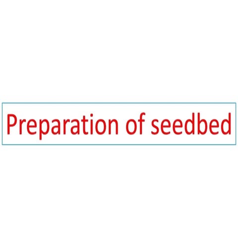 Preparation of seed bed