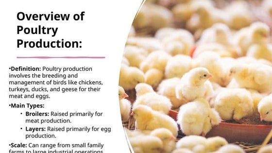 Preparatory Activities AFA Poultry .pptx