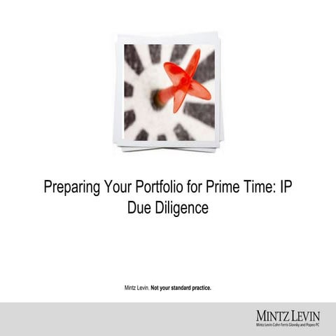 Preparing Your Portfolio for Prime Time: IP Due Diligence