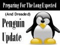 Preparing for the Long Expected Google Penguin Update