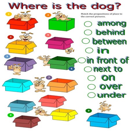 Prepositions   where is the dog 