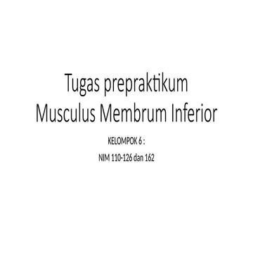 prepraktikum myologi membrum inferior (7).pptx