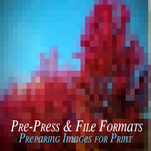 Prepress and File Formats: Preparing Images for Print