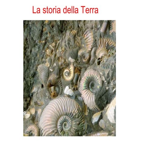 Prerequisiti precambriano