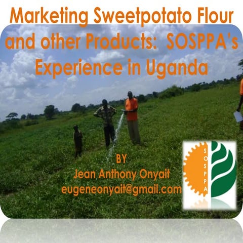 Pres 9-marketing-of-sweet-potato-flour-aa