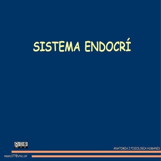 Sistema endocrí