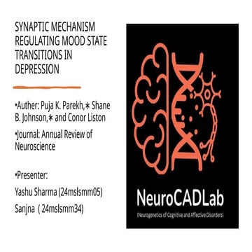 presantation on depression presantation on depression.pptx