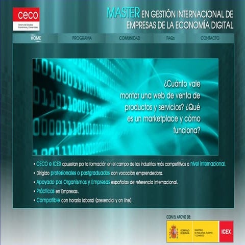 Master en Gestión Internacional de Empresas de la Economía Digital