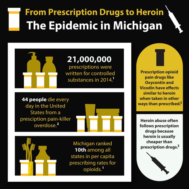 From Prescription Drugs to Heroin: The Epidemic in Michigan