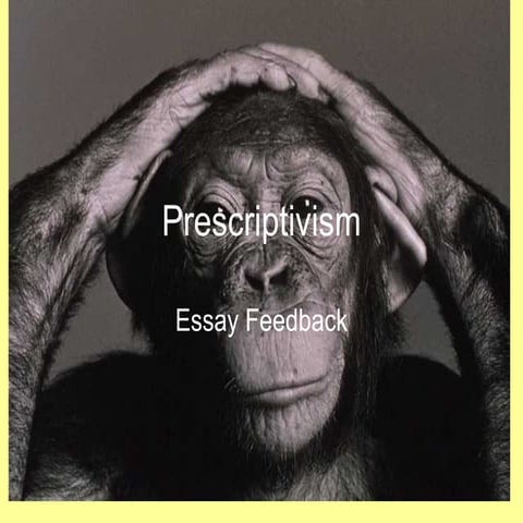 Prescriptivism essay feedback