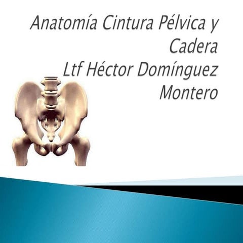 Pres de cintura pelvica y cadera.pptx