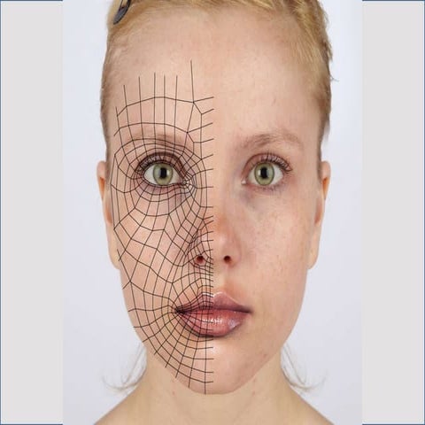 Cómo dibujar un rostro > Esquemas y proporciones.