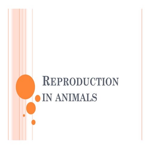Preseantation on reproduction in animals