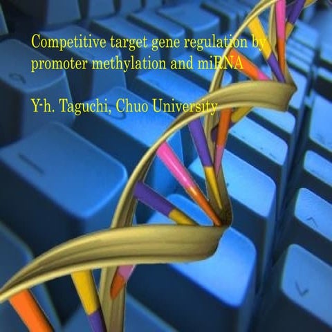 Competitive target gene regulation by promoter methylation and miRNA