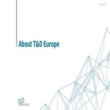 Presentatie De Energiewet - Handleiding gezocht - T&D Europe .pdf
