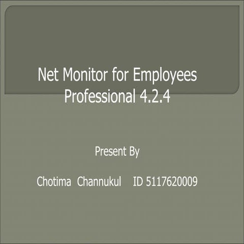 The Net Monitor for Employees | PPT