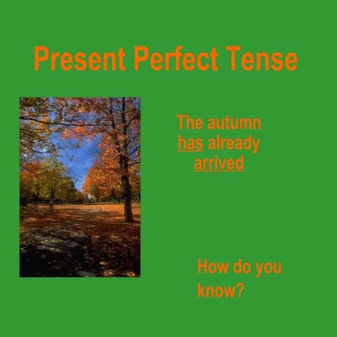 Present perfect-tense71
