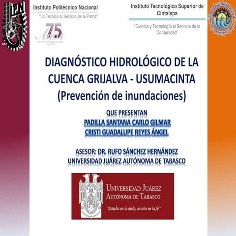 DIAGNÓSTICO DE LA CUENCA GRIJALVA USUMACINTA