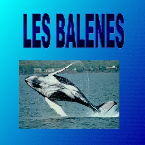 Les balenes