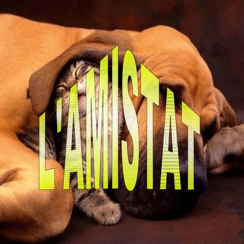 Presentació De L'amistat 