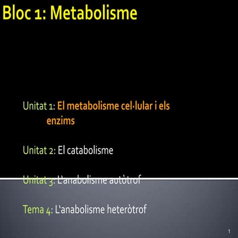 Presentació enzims bona 11 12