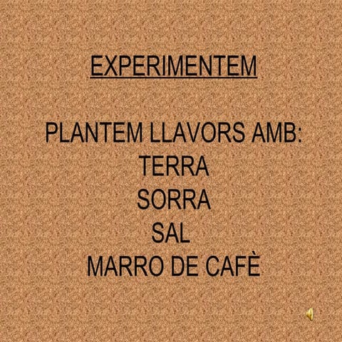 Presentació experiments