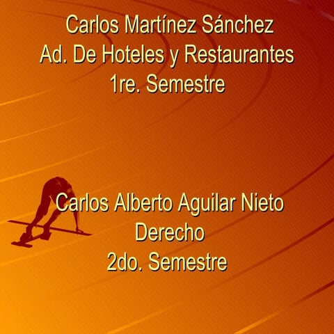 PresentacióN 134015 133881