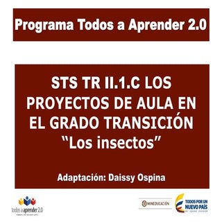 STS II.2TR: PROYECTO DE AULA: "LOS ...