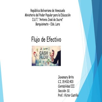 Presentación Flujo de Efectivo