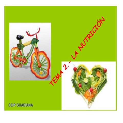 Presentación: La nutrición,