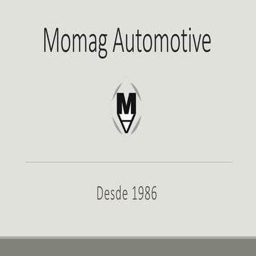 Momag Automotive - Empresa Exportadora (Brasil) | PDF