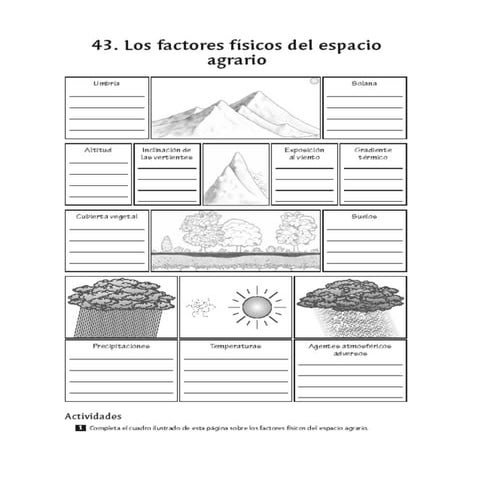 PresentacióN AmpliacióN Sect Primario