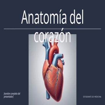 Configuración interna del corazón | PPTX