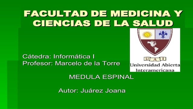 PresentacióN Medula Espinal