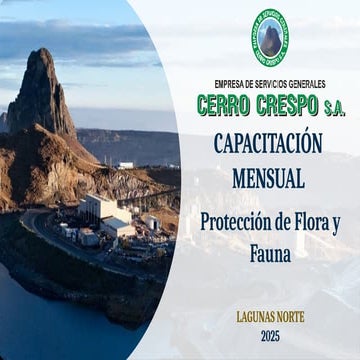 Presentación - Protección flora y fauna.pptx
