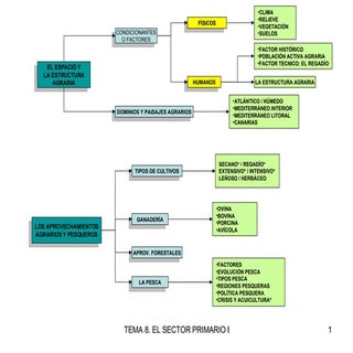PresentacióN Sector Primario