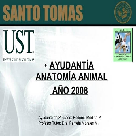 Presentación08nueva rode