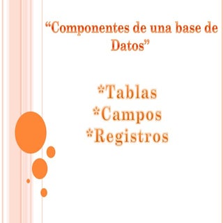 Elementos de la base de datos