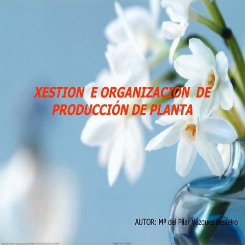 Plantas de Temporada