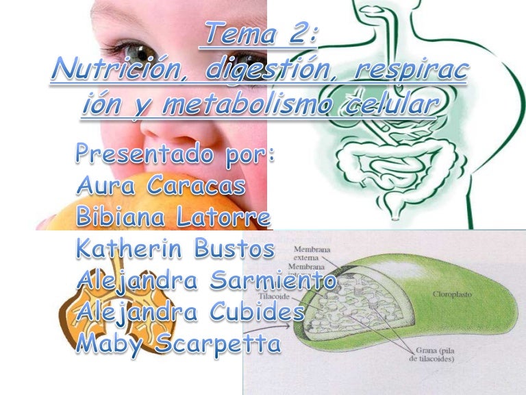 La mejor solución para aceleradores de metabolismo